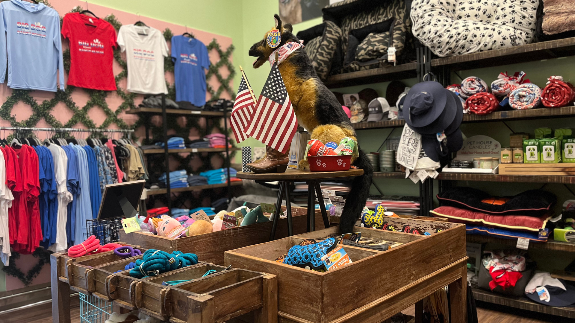 Big dog best sale clothing store